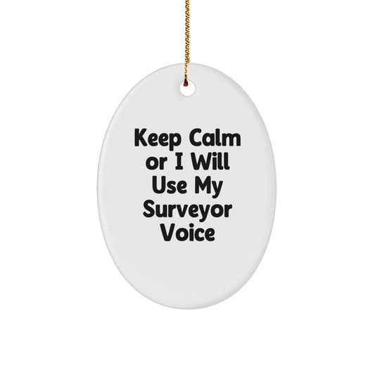 Surveyor Oval Ornament Funny Quote Gifts from Friends to Surveyor - Image 1
