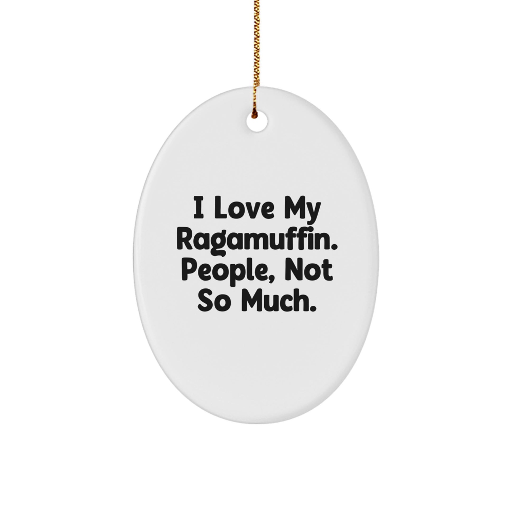 Ragamuffin Cat Oval Ornament Funny Gift for Friends and Family Members This Christmas - Image 1
