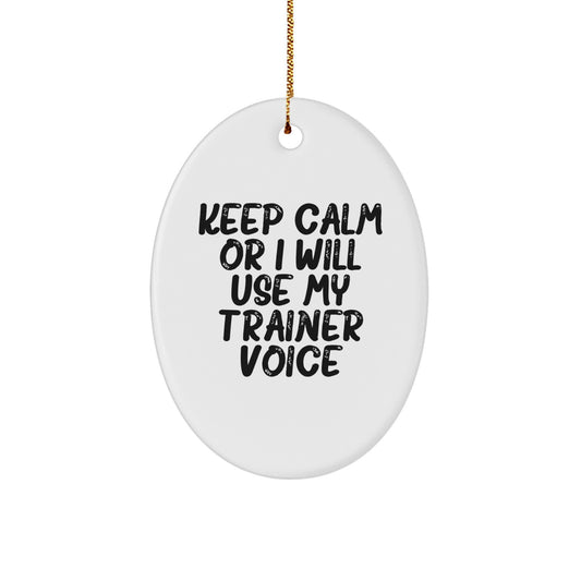 Funny Trainer Gifts for Christmas Oval Ornament - 'Keep Calm Or I Will Use My Trainer Voice' - Oval Shaped MDF with High Gloss Finish - Perfect for Friends Family Coworkers - Image 1