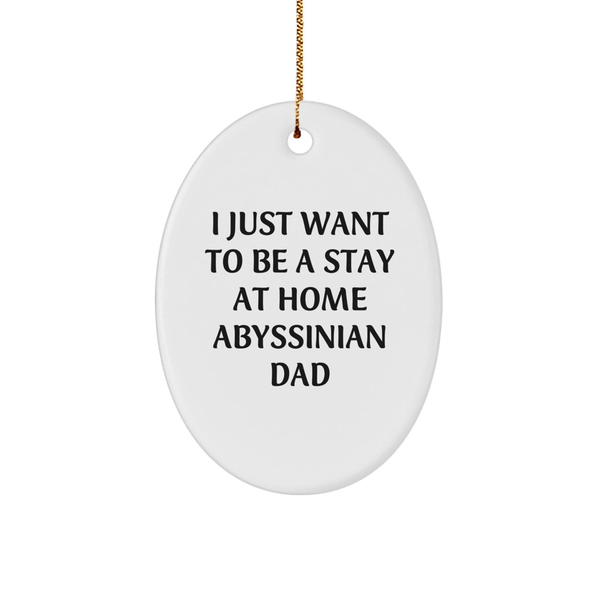 Funny Abyssinian Cat Gifts from Dad for Stay at Home Dads - Oval Ornament Christmas Unique Gifts - Image 1