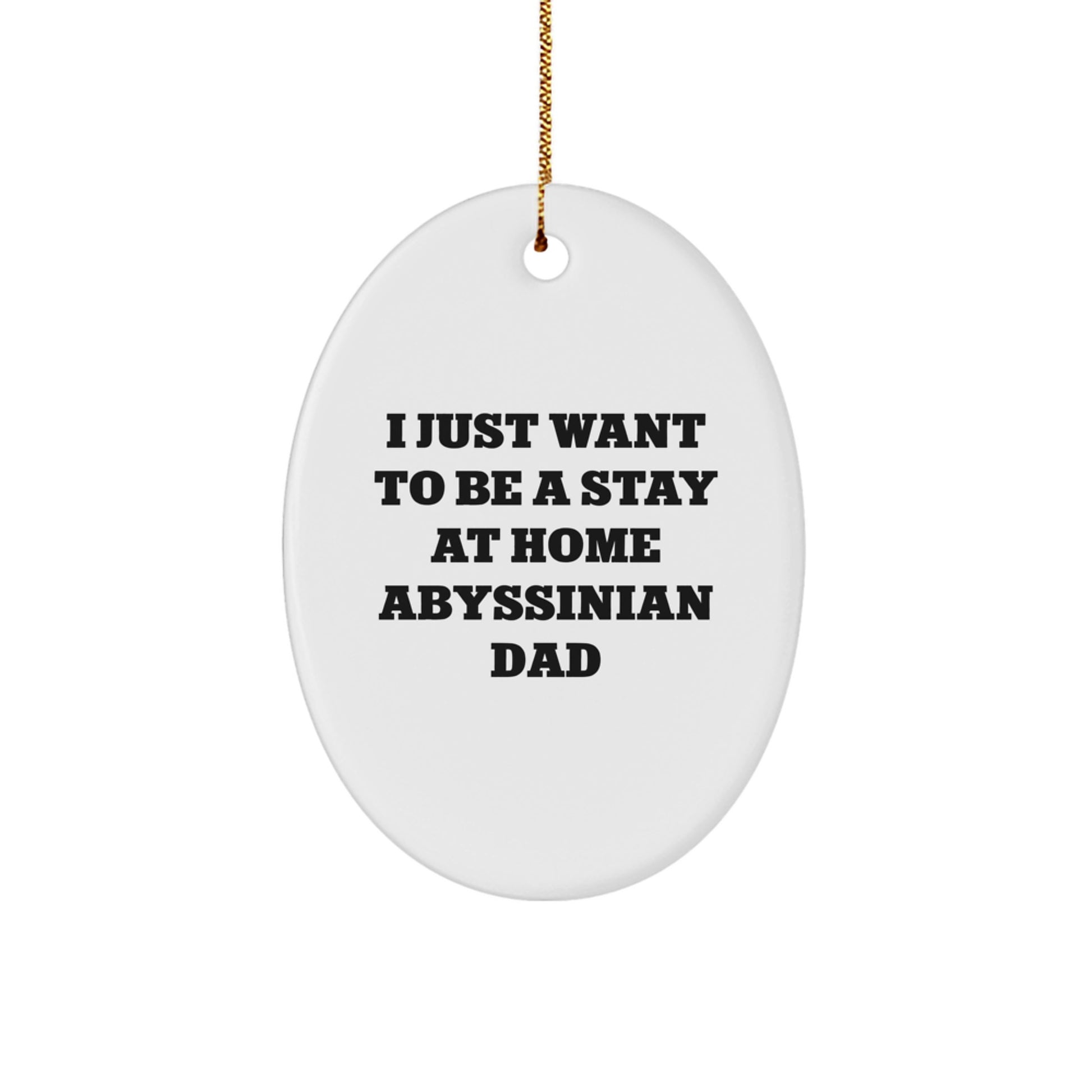 Funny Abyssinian Cat Gifts for Dad, Oval Ornament Christmas Unique Decorations from Men, Stay At Home Abyssinian Dad Decor Gifts - Image 1