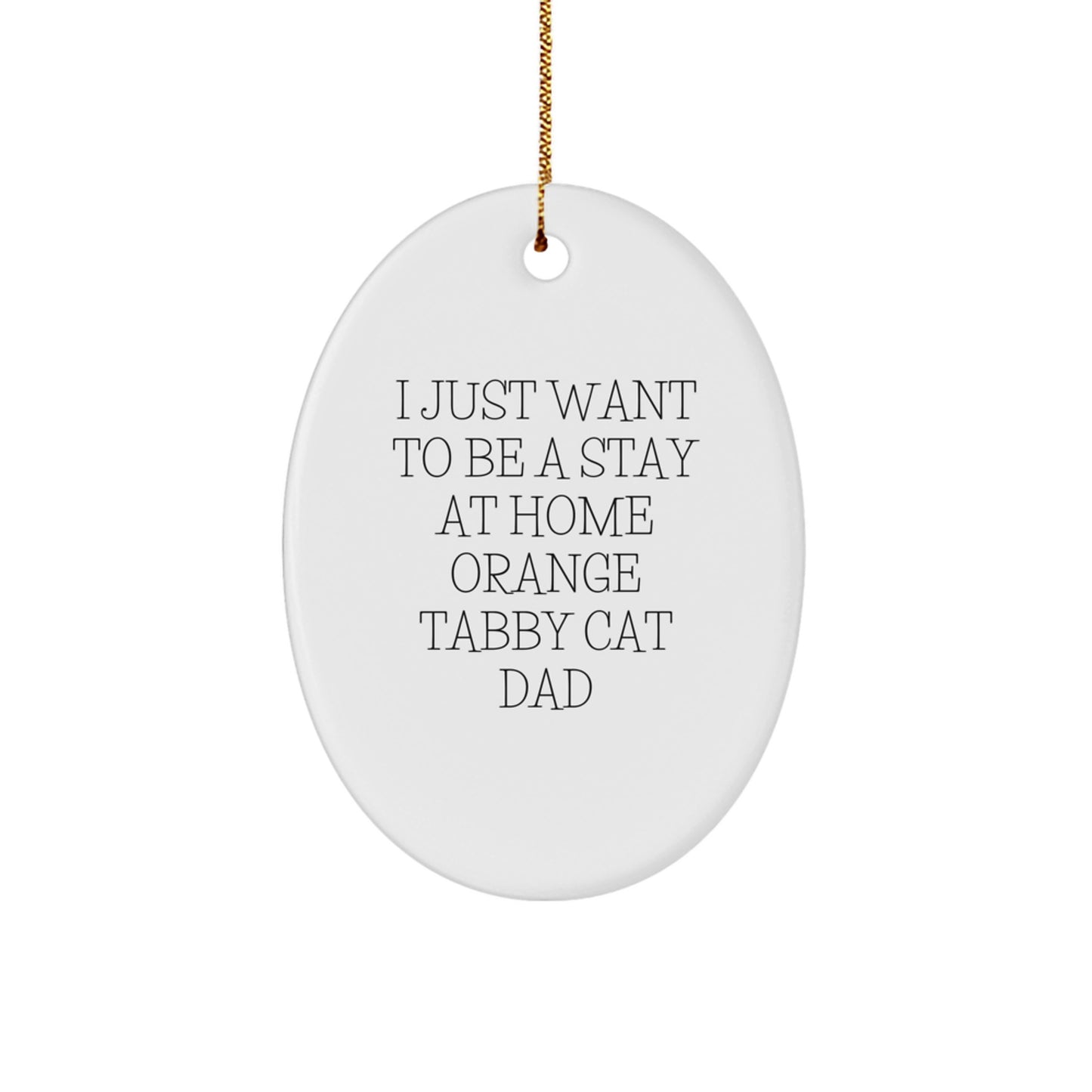 Funny Orange Tabby Cat Dad Gifts for Men, Oval Ornament for Christmas Unique Gifts from Friends, Orange Tabby Cat Lover Decorations - Image 1