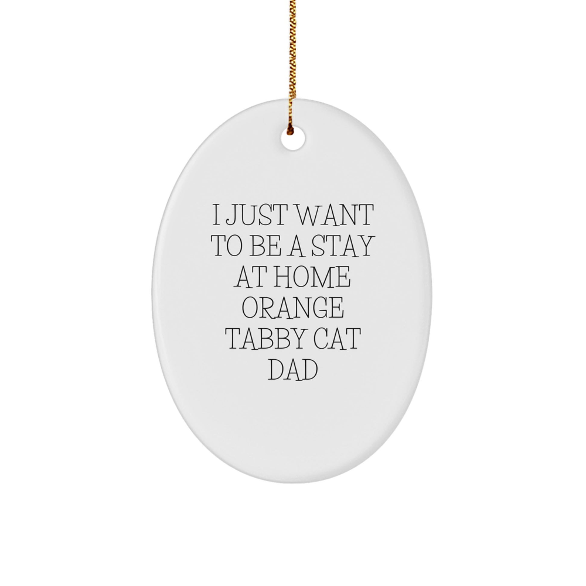 Funny Orange Tabby Cat Dad Gifts for Men, Oval Ornament for Christmas Unique Gifts from Friends, Orange Tabby Cat Lover Decorations - Image 1