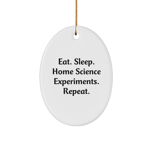Home Science Experiments Gifts for Men, Women, Friends, and Family - Oval Ornament, Eat. Sleep. Home Science Experiments. Repeat., Christmas Unique Gifts from Friends - Image 1