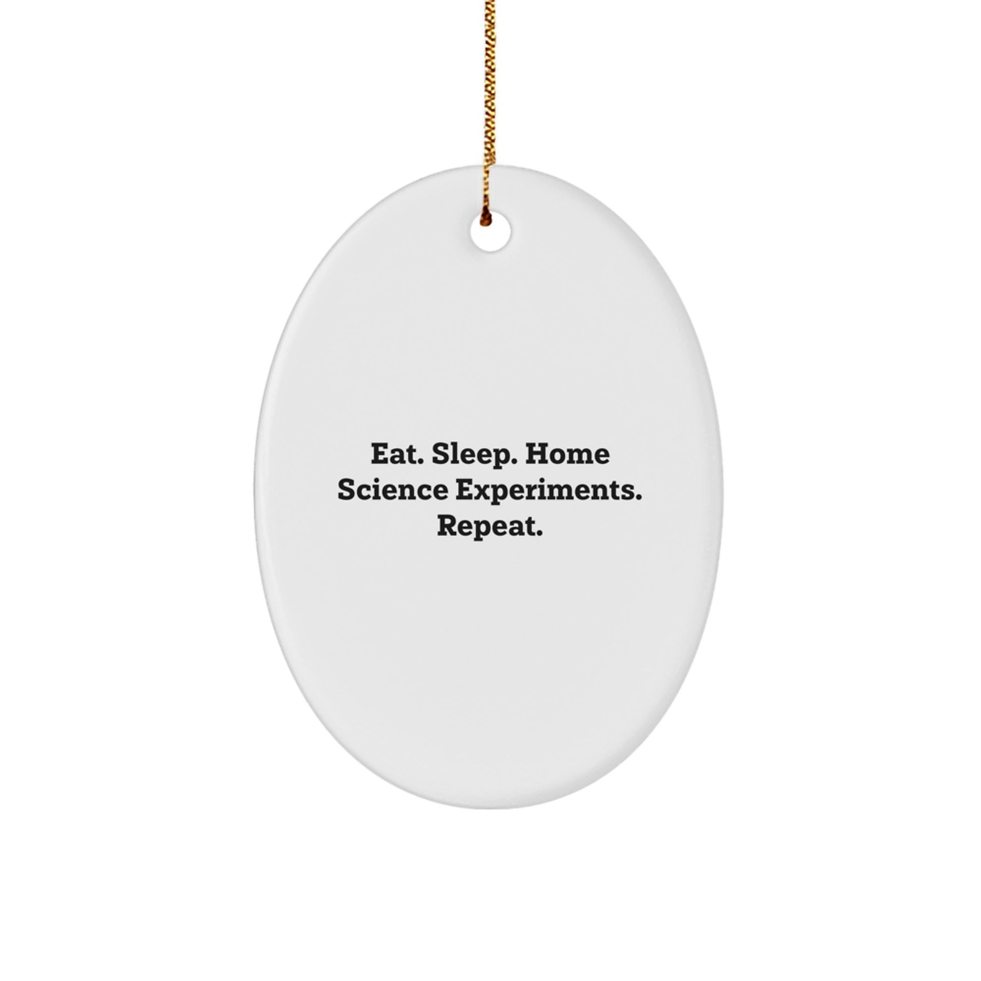 Home Science Experiments Oval Ornament - Funny Quote Gifts from Family and Friends for Christmas - Image 1