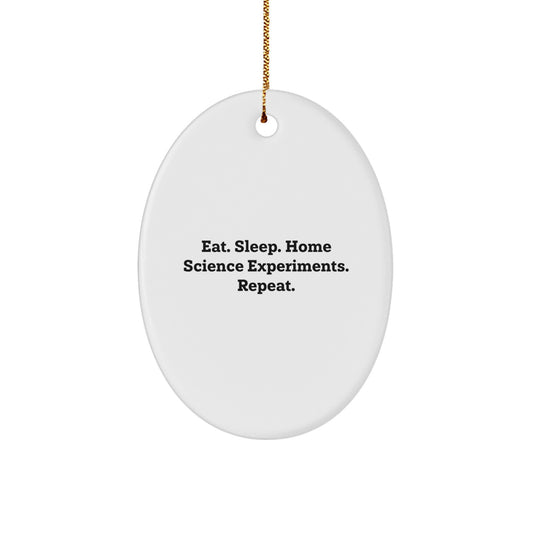 Home Science Experiments Oval Ornament - Funny Quote Gifts from Family and Friends for Christmas - Image 1