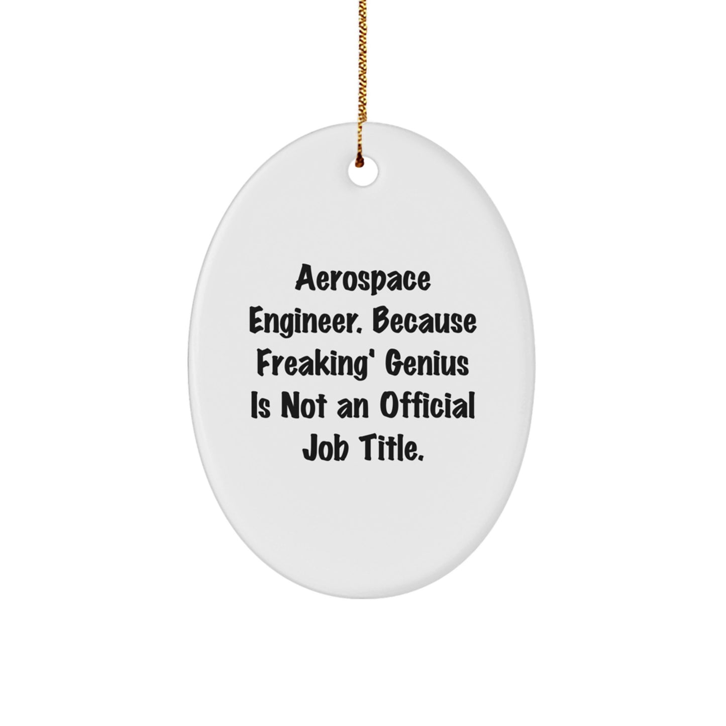 Funny Aerospace Engineer Oval Ornament Gifts from Men for Christmas Unique Ideas - Image 1