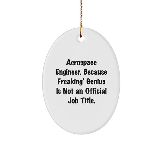 Funny Aerospace Engineer Oval Ornament Gifts from Men for Christmas Unique Ideas - Image 1