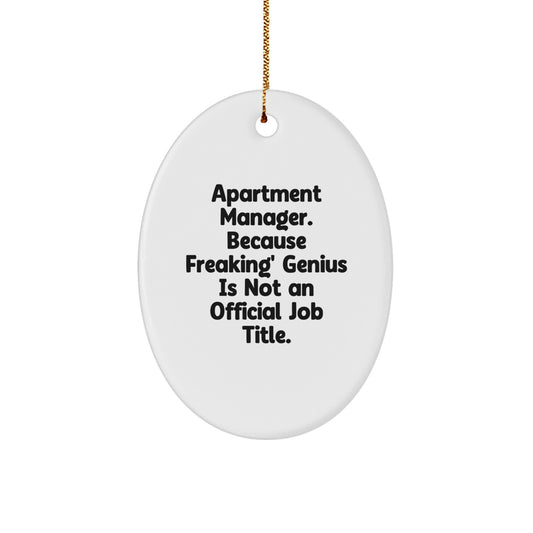 Funny Apartment Manager Gifts Oval Ornament, Gifts from Friends for Apartment Manager, Oval Shaped Christmas Unique Gifts - Image 1