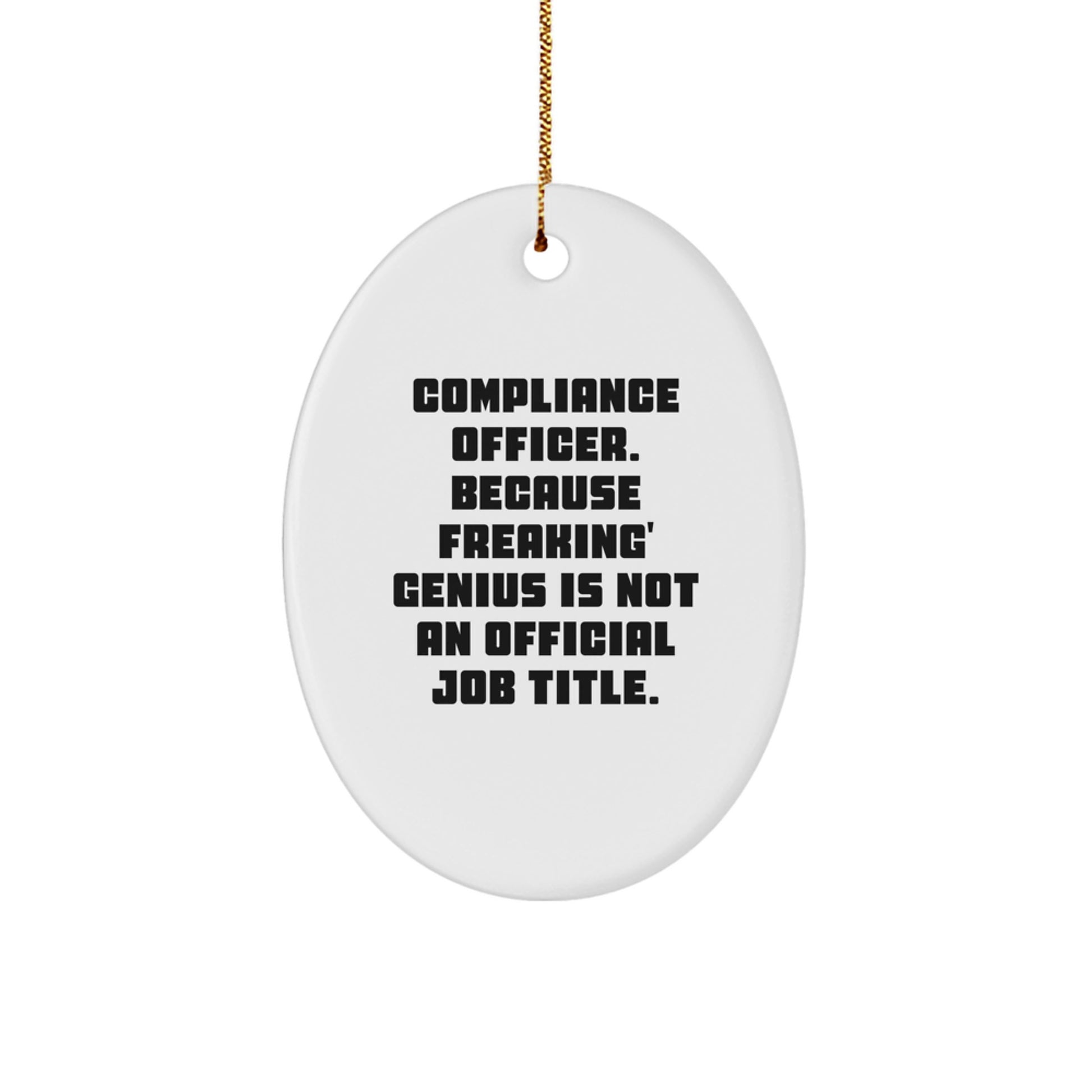 Funny Compliance Officer Oval Ornament Gifts from Family - Unique Christmas Memorable Presents for Compliance Officer Friends - Image 1