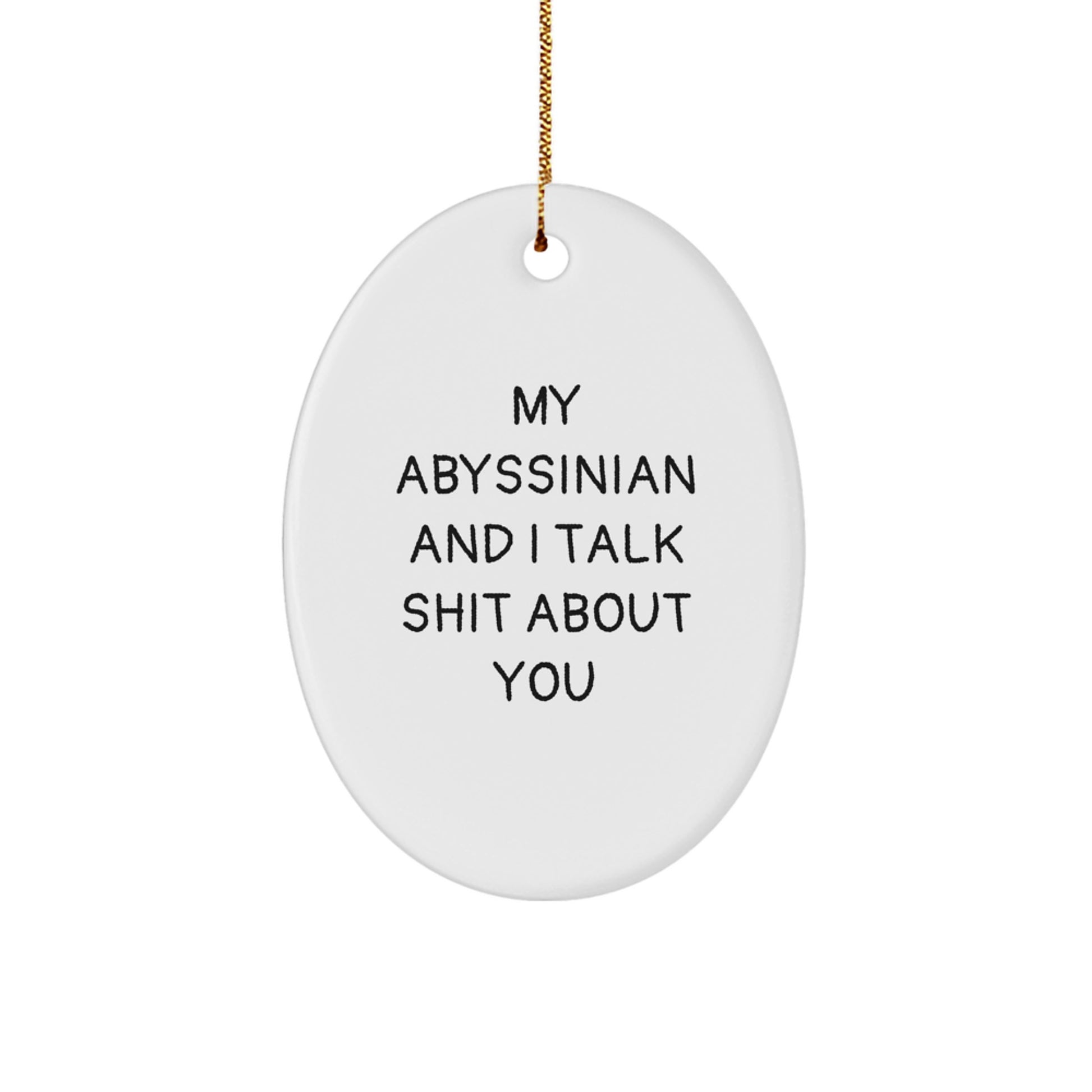 Funny Abyssinian Cat Gifts - Oval Ornament for Christmas Unique Gifts from Friends to Abyssinian Cat Lovers - Image 1
