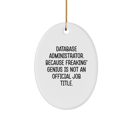 Funny Quote Oval Ornament for Database Administrators, Unique Gifts from Friends to Database Administrator Team Members, Christmas Decoration - Image 1