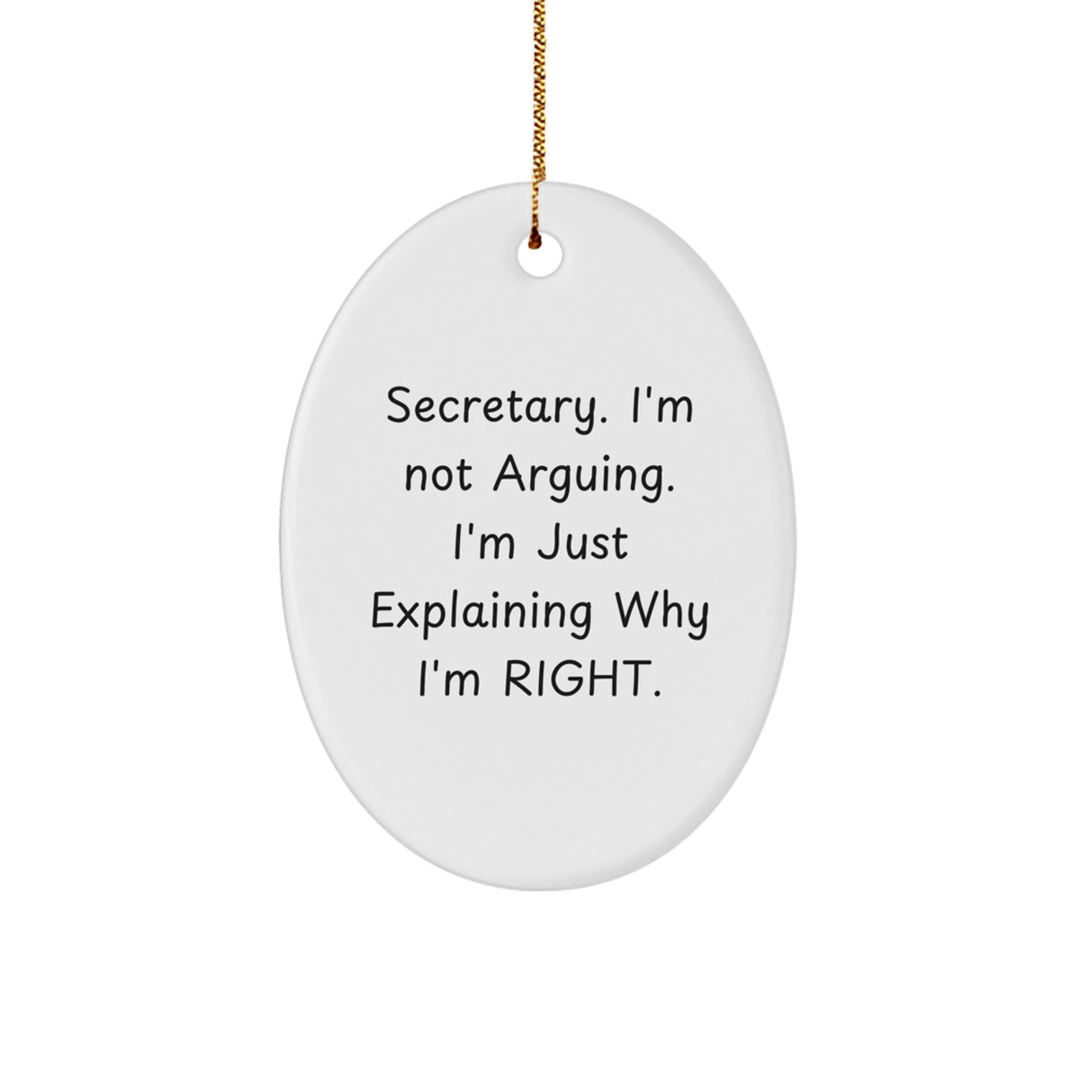 Funny Secretary Gifts, Oval Ornament, Gifts from Family, For Secretary, Christmas Unique Gifts - Image 1