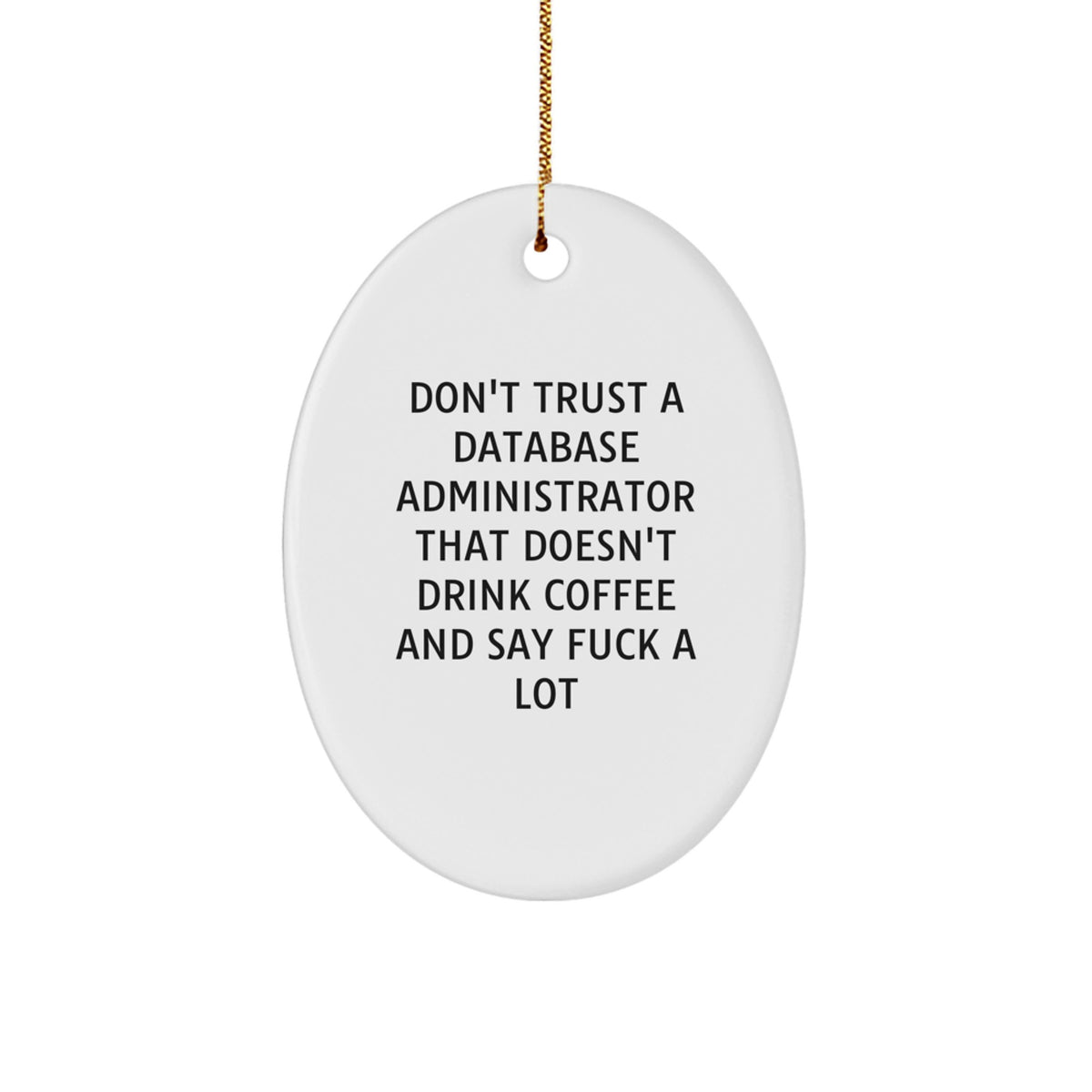 Funny Database Administrator Oval Ornament Gifts from Friends, Unique Christmas Unique Gifts for Database Administrator Men, Oval Shaped Decorative - Image 1