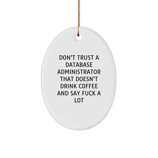Funny Database Administrator Oval Ornament Gifts from Friends, Unique Christmas Unique Gifts for Database Administrator Men, Oval Shaped Decorative - Image 1