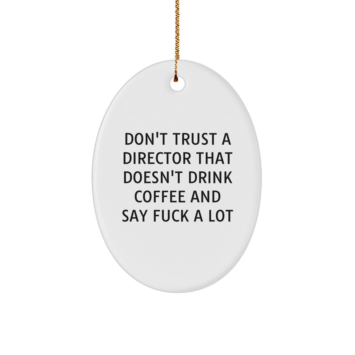 Christmas Gift for Teens Surprise Director Ornament - Image 1