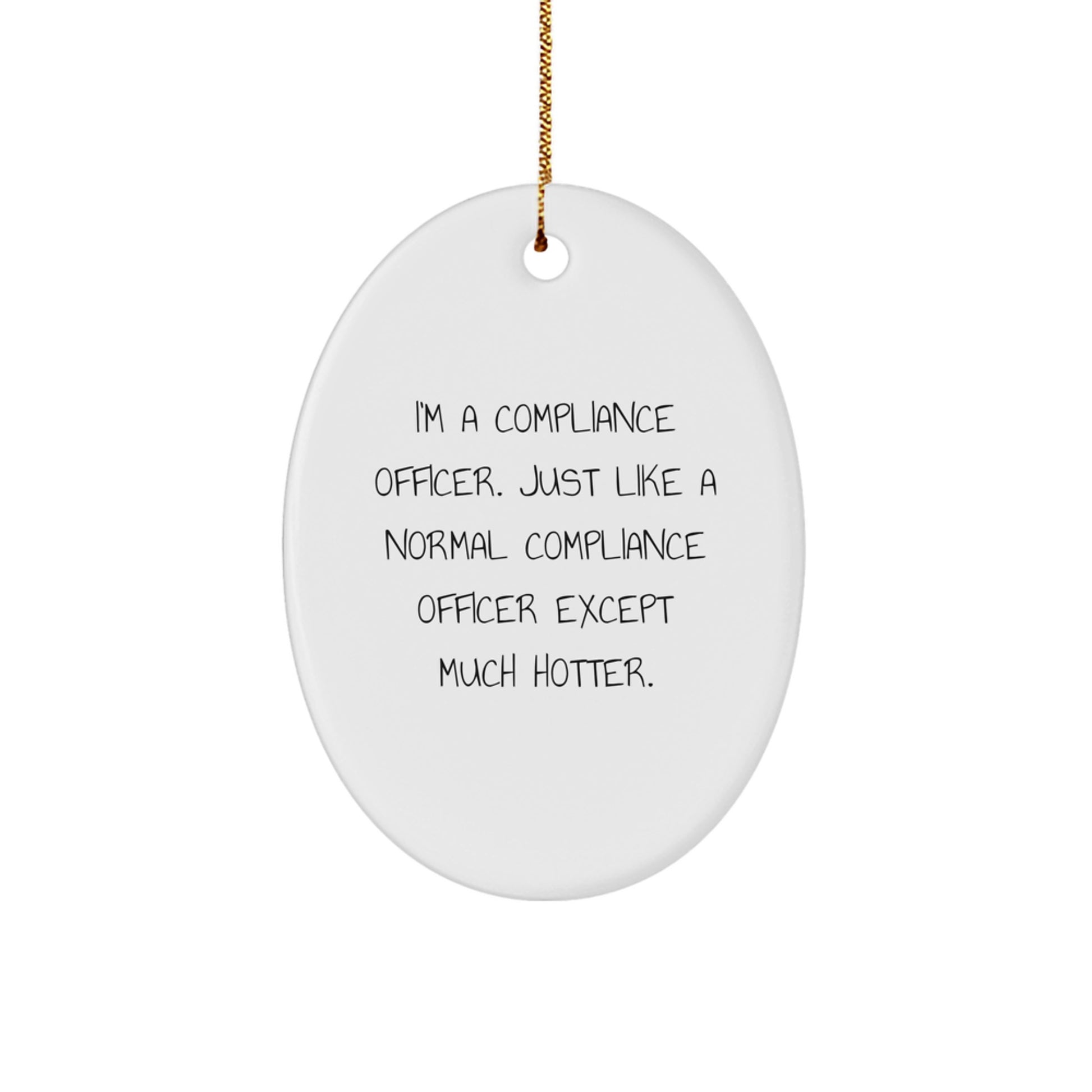 Funny Compliance Officer Gifts from Friends Oval Ornaments for Christmas Unique - Image 1