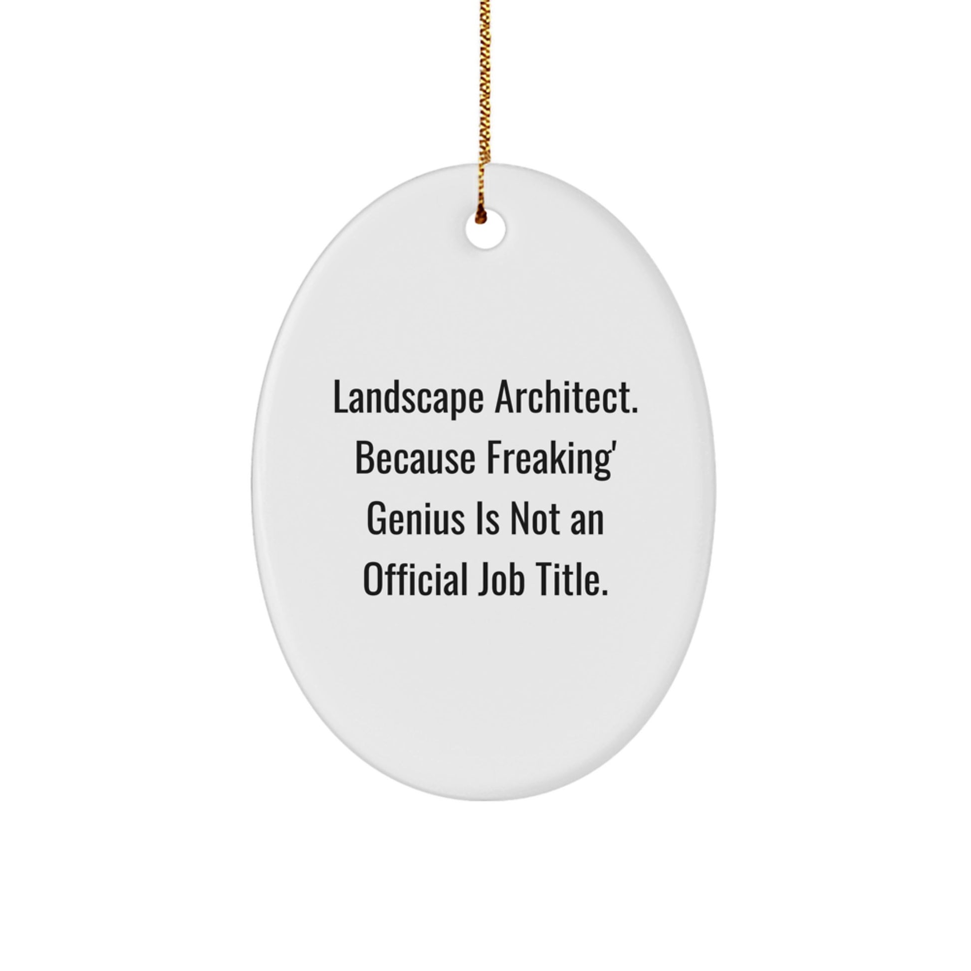 Funny Landscape Architect Oval Ornament Gifts from Men to Friends, Christmas Unique Gifts for Landscape Architect Office - Image 1