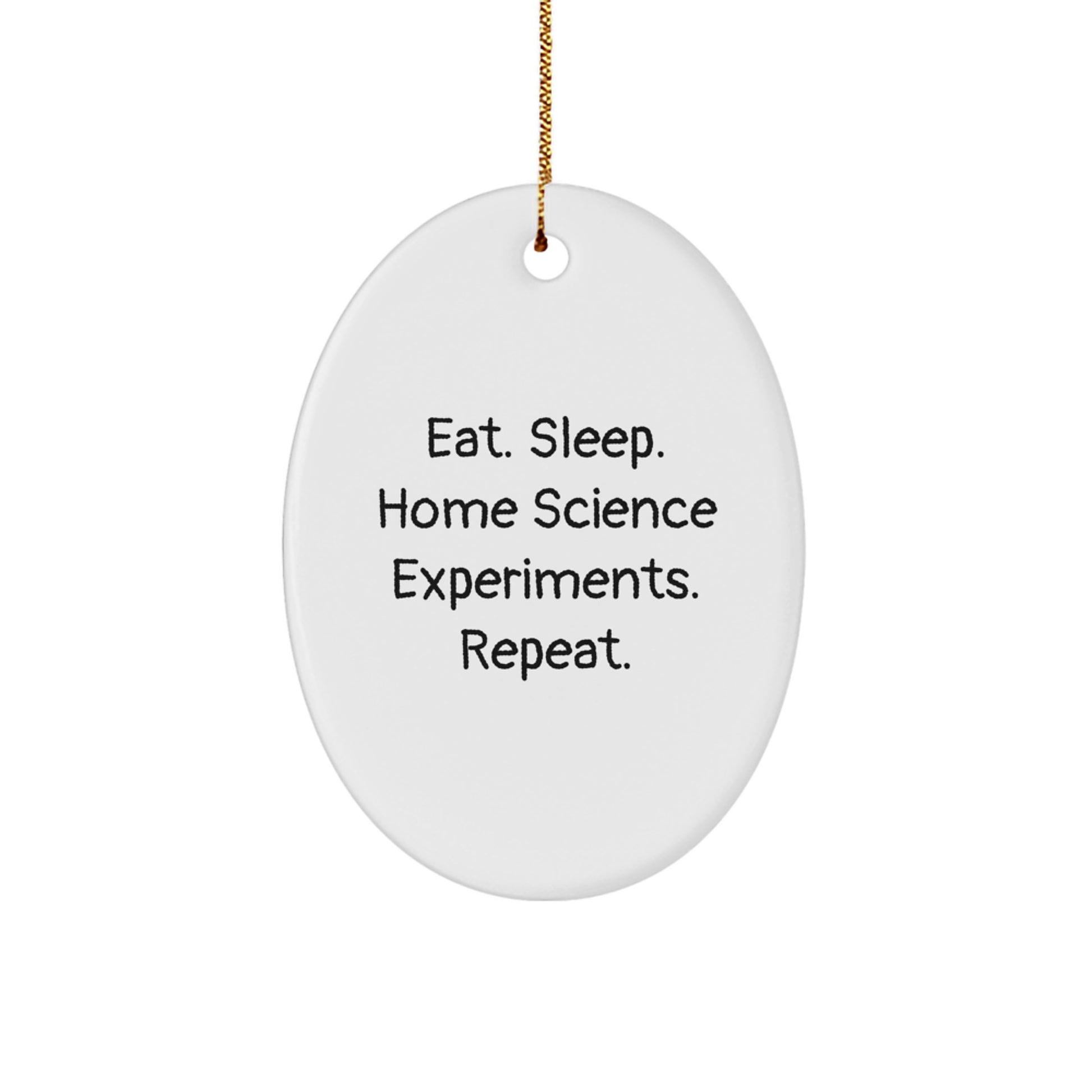 Funny Christmas Unique Gifts from Home Science Experiments Enthusiasts, Oval Ornament for Home Science Experiments Lovers, Eat Sleep Home Science Experiments Repeat Christmas Unique Gifts - Image 1