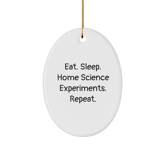 Funny Christmas Unique Gifts from Home Science Experiments Enthusiasts, Oval Ornament for Home Science Experiments Lovers, Eat Sleep Home Science Experiments Repeat Christmas Unique Gifts - Image 1