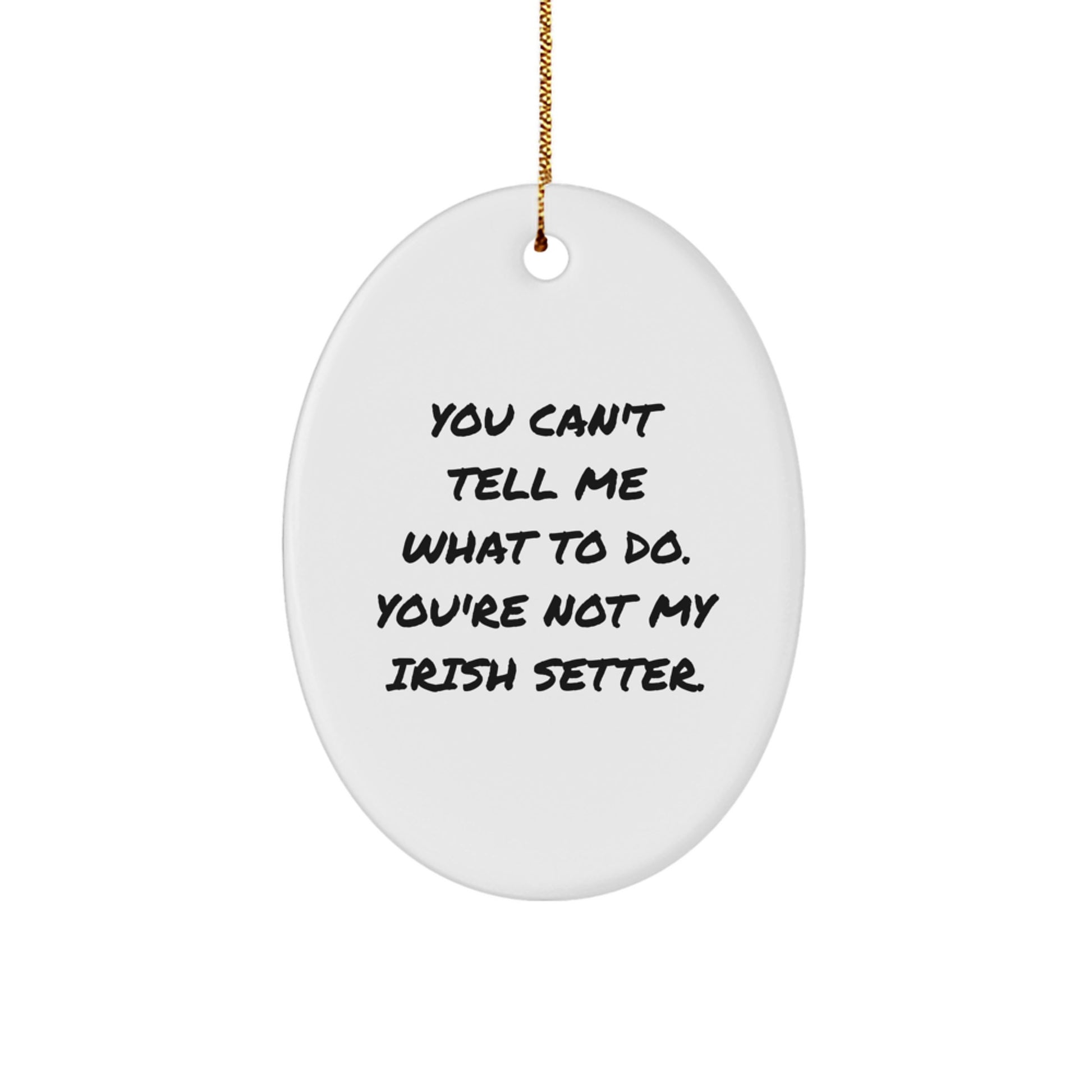 Funny Irish Setter Dog Oval Ornament Gifts from Men to Friends for Christmas - Image 1