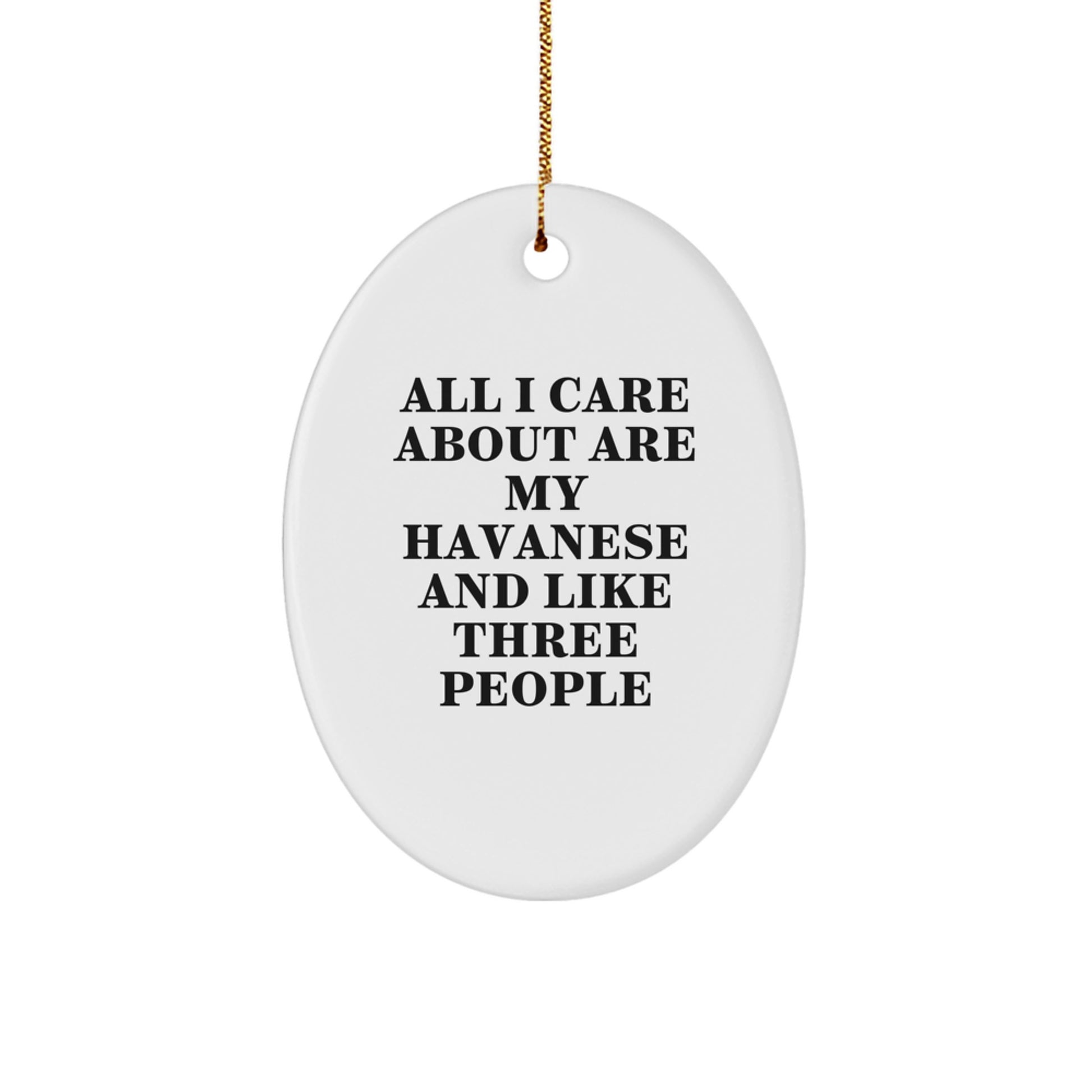 Funny Havanese Dog Lover Gifts from Friends for Havanese Dog Enthusiasts - Oval Ornament - Havanese Dog Christmas Unique Gifts - Image 1