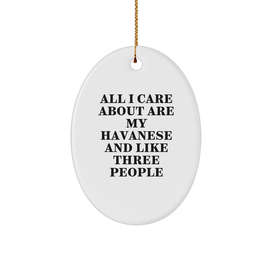 Funny Havanese Dog Lover Gifts from Friends for Havanese Dog Enthusiasts - Oval Ornament - Havanese Dog Christmas Unique Gifts - Image 1
