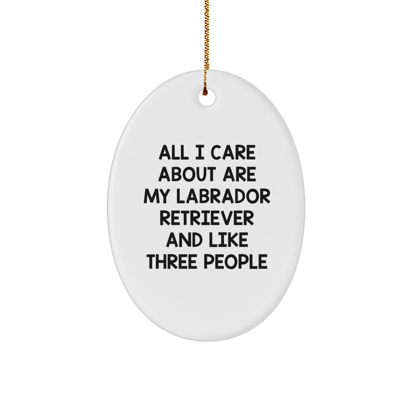 Labrador Retriever Dog Lover Funny Christmas Oval Ornament Gifts from Men to Friends, Labrador Retriever Dog Christmas Unique Gifts, Oval Decorations for Labrador Retriever Dog Owners - Image 1