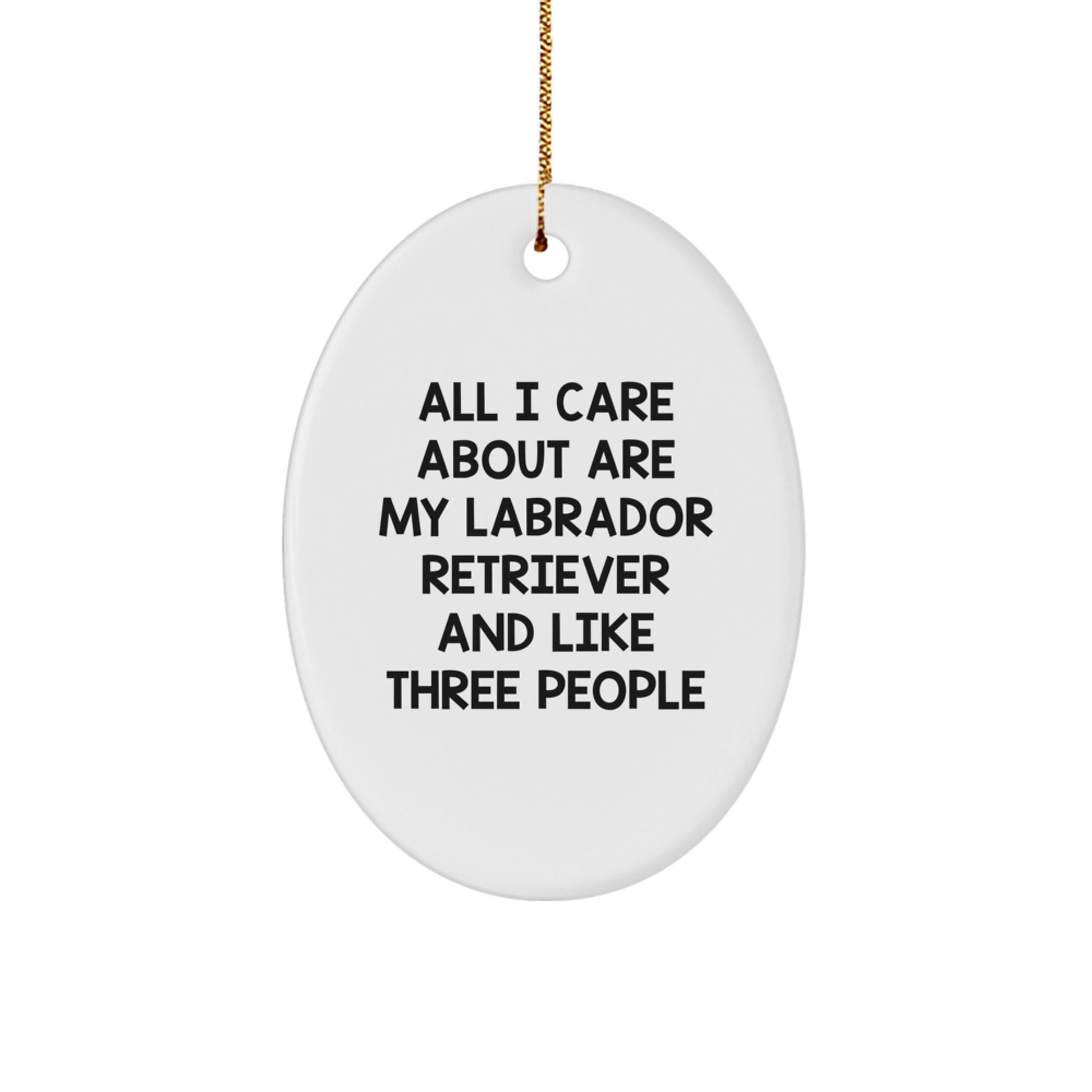 Labrador Retriever Dog Lover Funny Christmas Oval Ornament Gifts from Men to Friends, Labrador Retriever Dog Christmas Unique Gifts, Oval Decorations for Labrador Retriever Dog Owners - Image 1