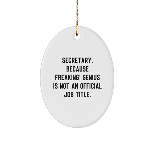 Secretary Office Hero Keepsake Bright Christmas Ornament for Him Gift - Image 1