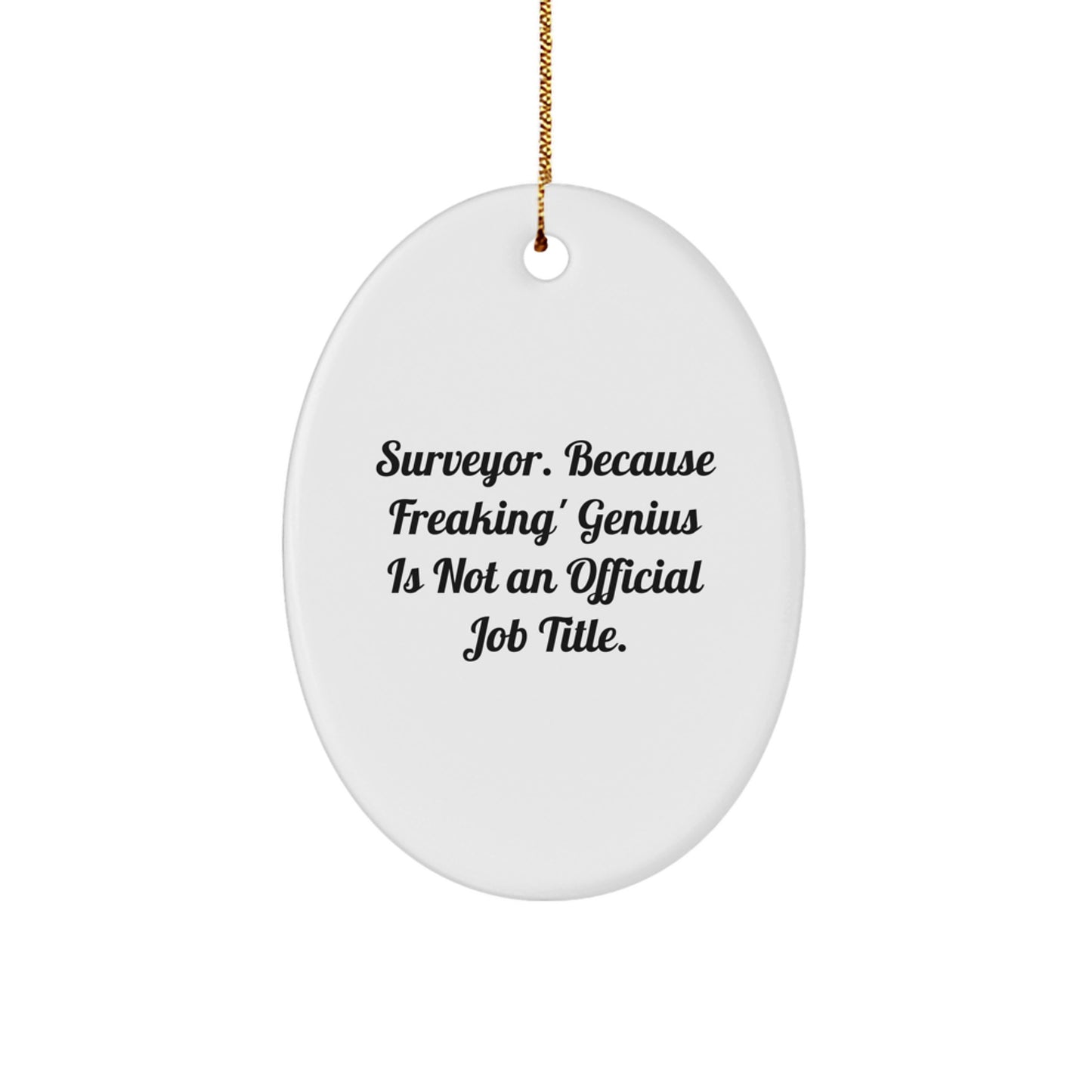 Funny Surveyor Gifts from Men to Friends, Oval Ornament Surveyor Quote, Christmas Unique Gifts for Surveyor - Image 1