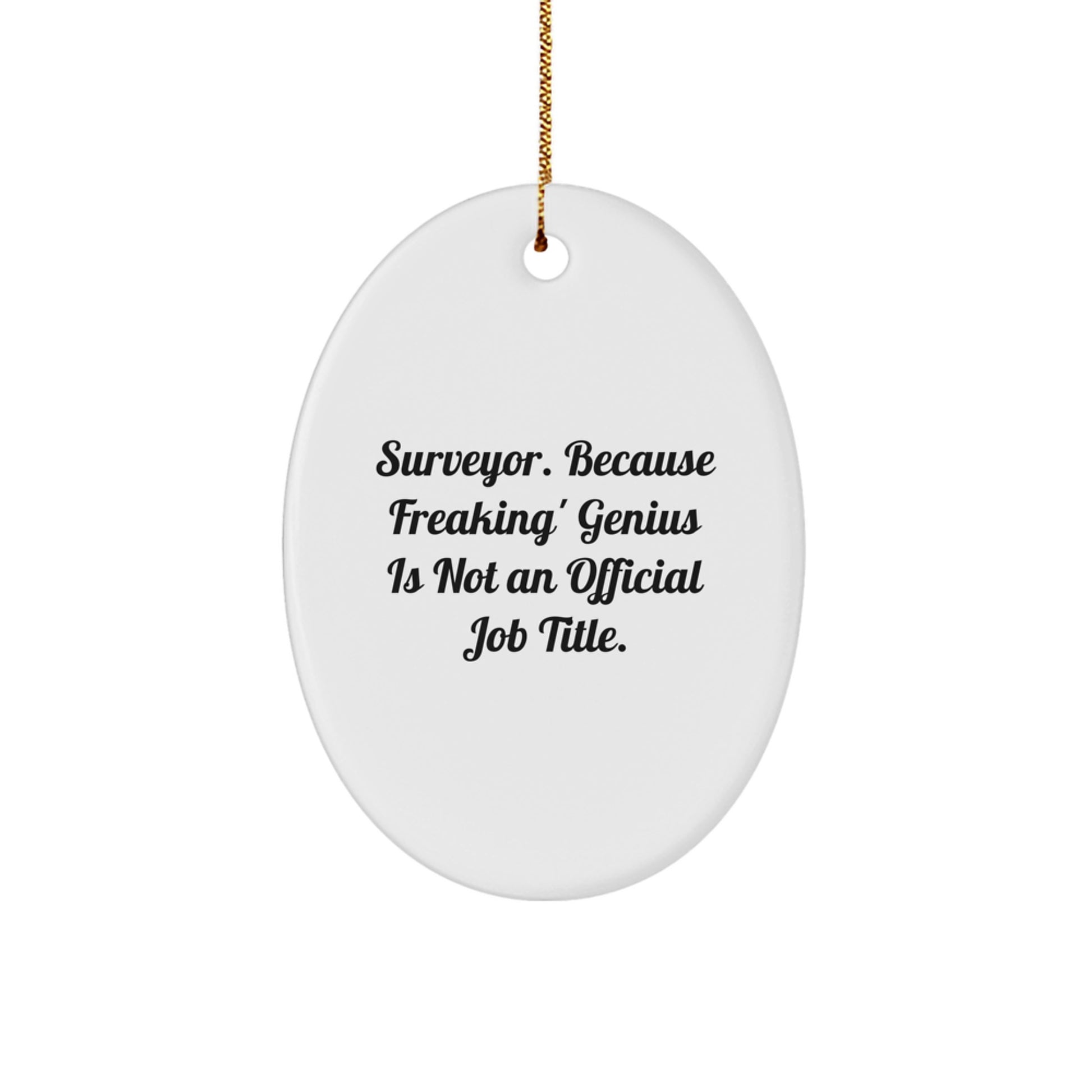 Funny Surveyor Gifts from Men to Friends, Oval Ornament Surveyor Quote, Christmas Unique Gifts for Surveyor - Image 1