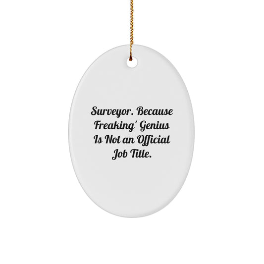 Funny Surveyor Gifts from Men to Friends, Oval Ornament Surveyor Quote, Christmas Unique Gifts for Surveyor - Image 1