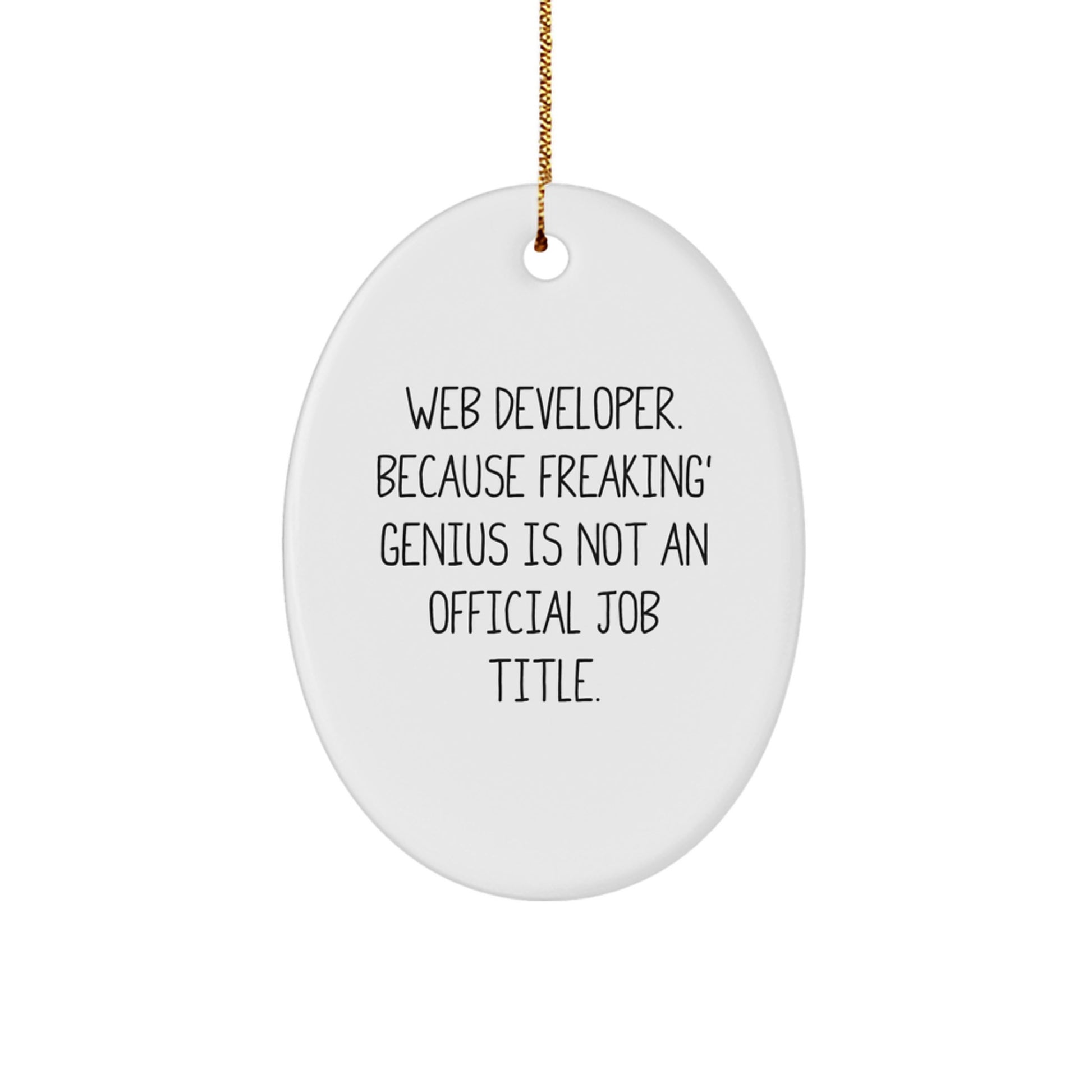 Funny Web Developer Oval Ornament Gifts from Friends for Christmas Unique Web Developer Office Decor - Image 1