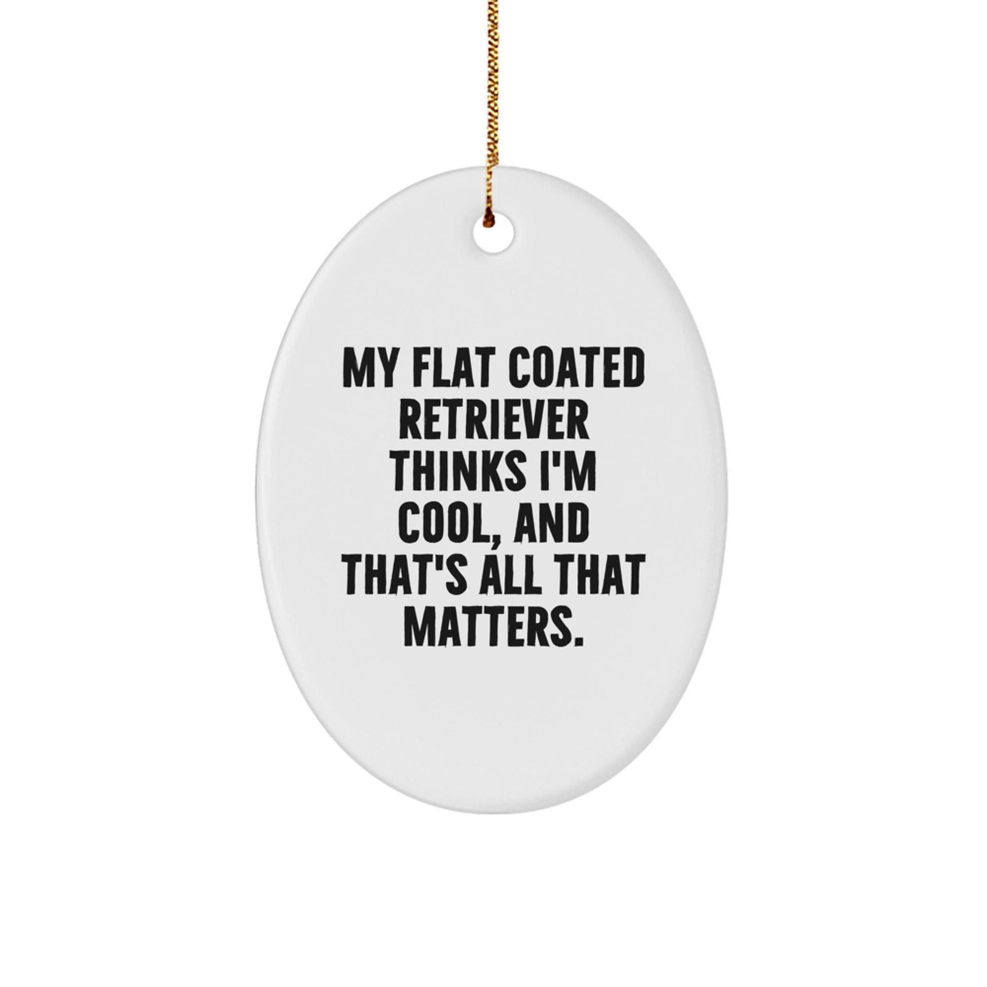 Funny Flat Coated Retriever Dog Oval Ornament Gifts from Men for Women at Christmas Unique - Image 1