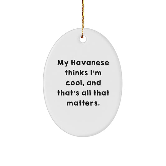 Funny Havanese Dog Oval Ornaments for Christmas Unique Gifts from Friends and Family - Image 1