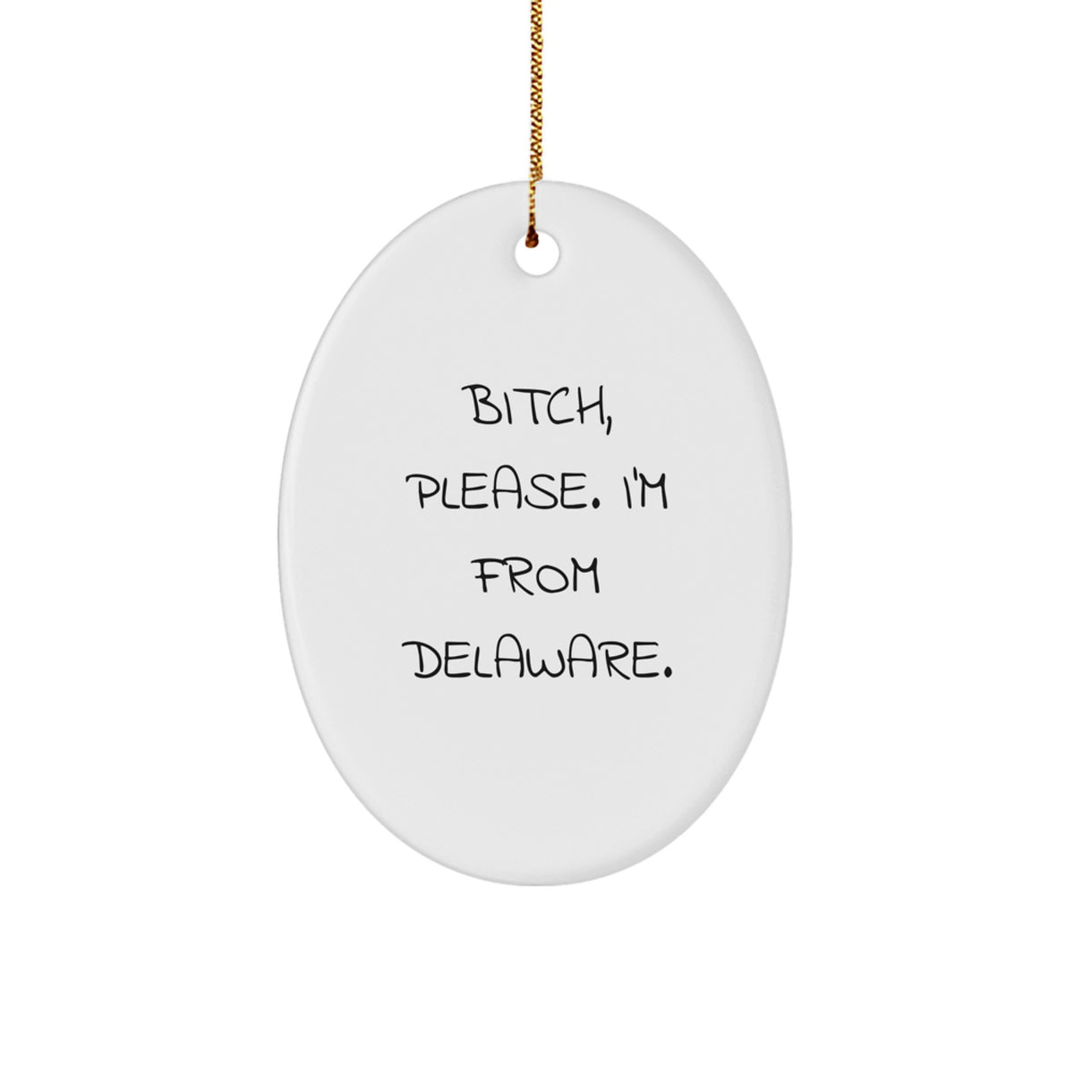 Funny Delaware Oval Ornament Gifts from Friends to Family - Christmas Unique Delaware Gifts - Image 1