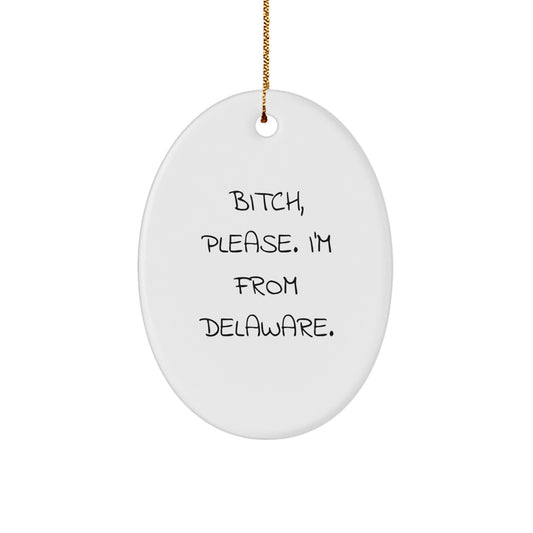 Funny Delaware Oval Ornament Gifts from Friends to Family - Christmas Unique Delaware Gifts - Image 1