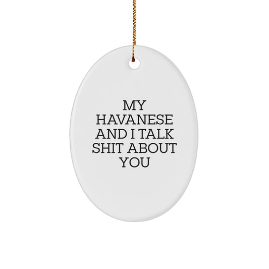 Bright Vibrant Havanese Dog Keepsake Christmas Ornament for Him Gift - Image 1