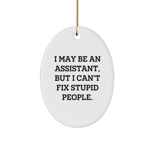 Funny Assistant Oval Ornament Gift for Men - I May Be An Assistant, But I Can't Fix Stupid People. from Friends to Coworkers - Image 1
