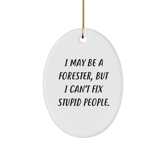 Funny Forester Gifts from Friends, I May Be A Forester, But I Can't Fix Stupid People. Oval Ornament for Christmas Unique Gifts for Foresters - Image 1
