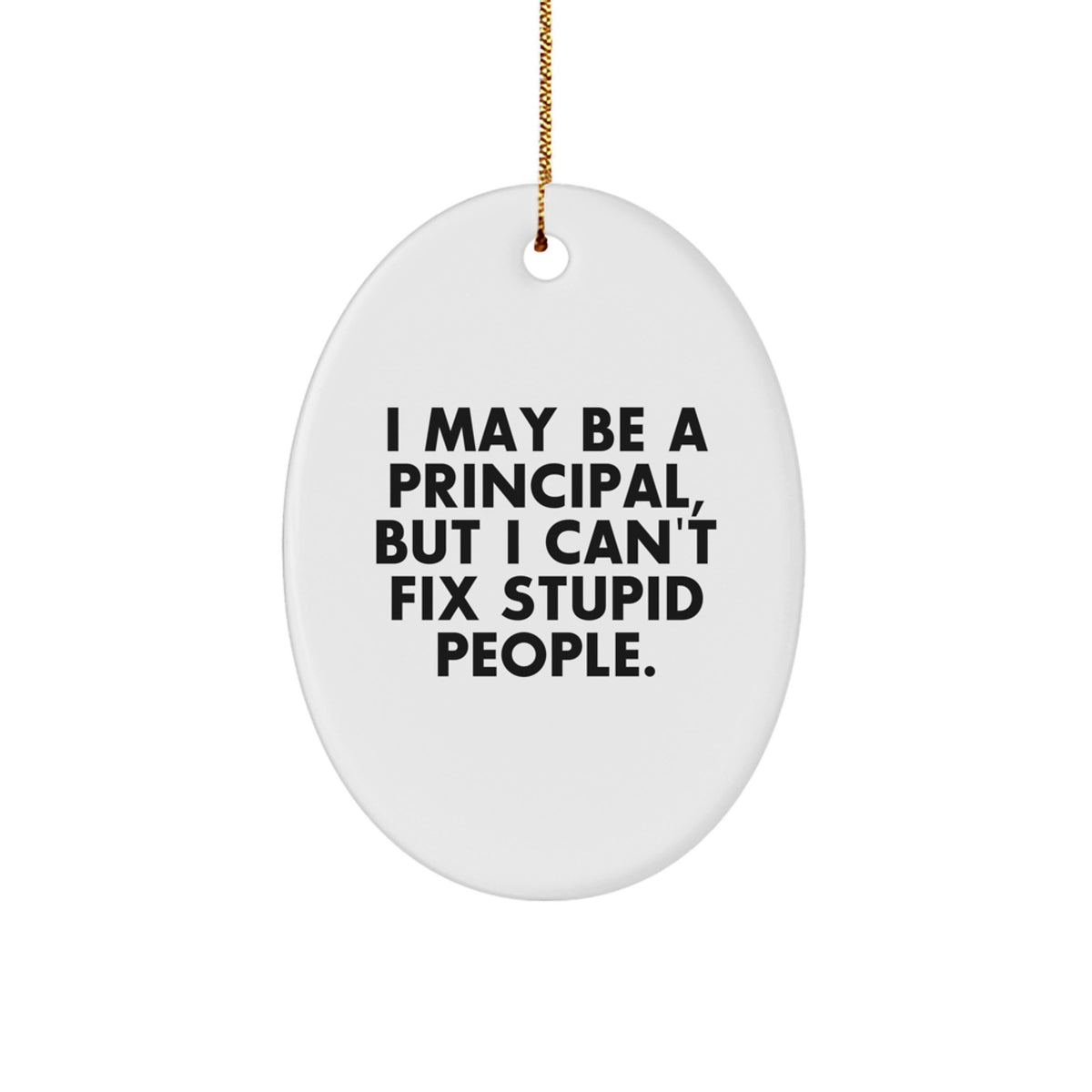 Sarcastic I May Be a Principal Christmas Ornament Gift for Friends Novel - Image 1