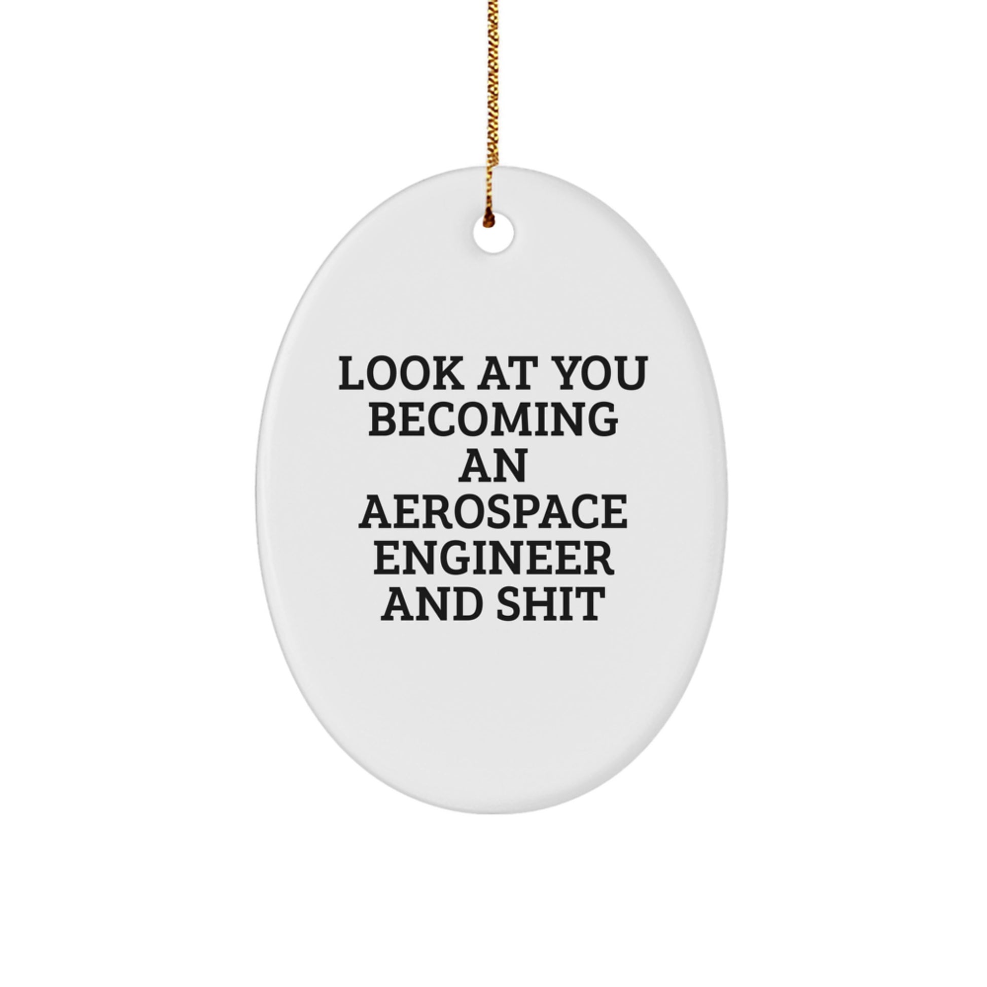 Funny Aerospace Engineer Gifts from Friends and Family - Oval Ornament, Christmas Unique Present for Aerospace Engineer Enthusiasts, White - Image 1