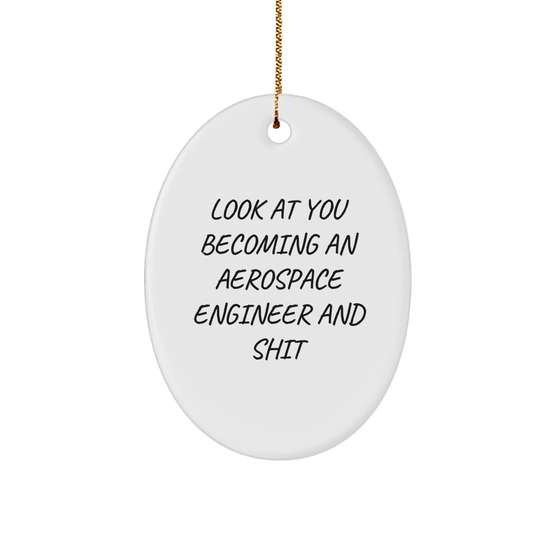 Aerospace Engineer Oval Ornament Gift Funny Quotes for Him from Friends for Christmas Unique Decoration - Image 1