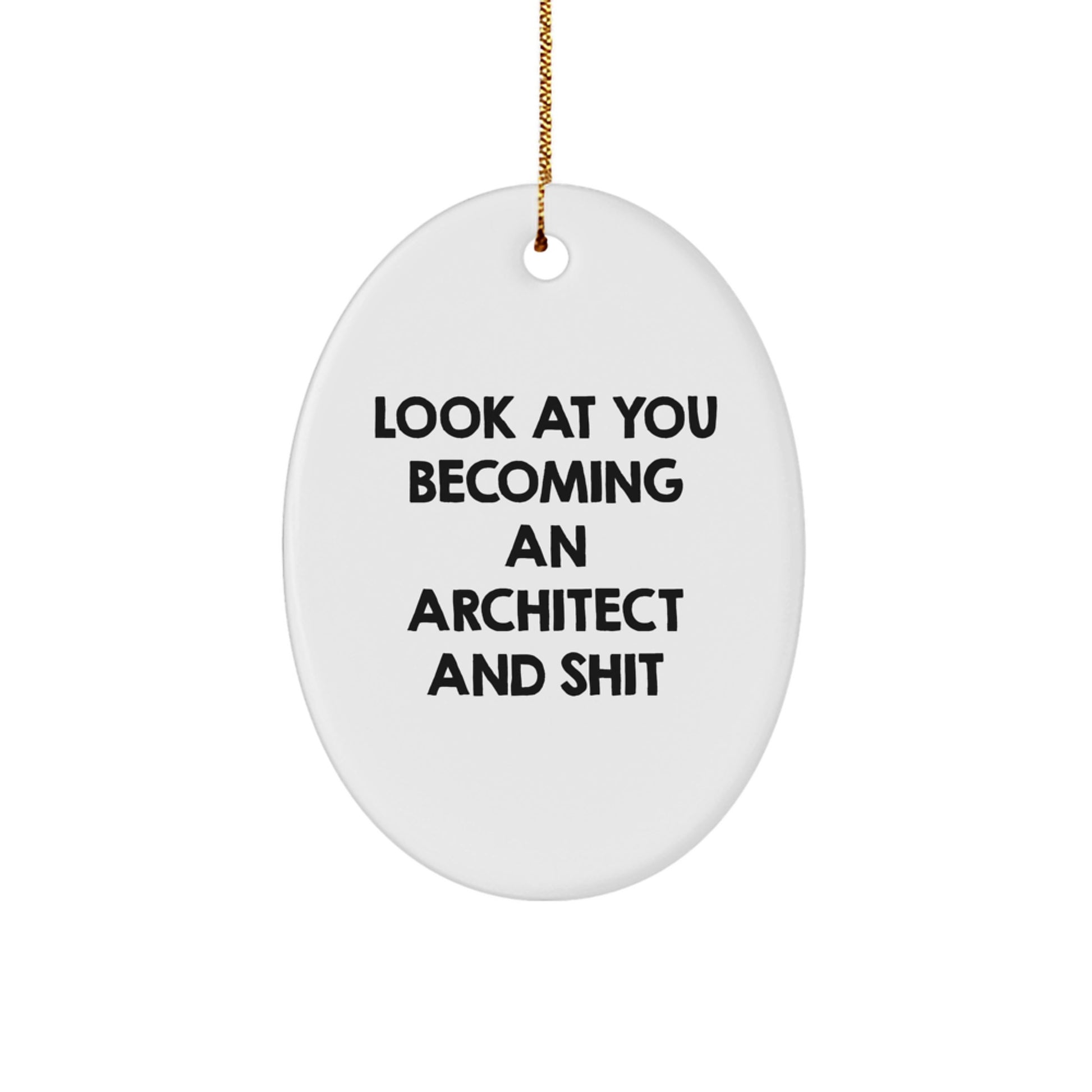Funny Architect Oval Ornament Gifts for Friends - Look At You Becoming An Architect And Shit - Christmas Unique Gifts from Men - Image 1