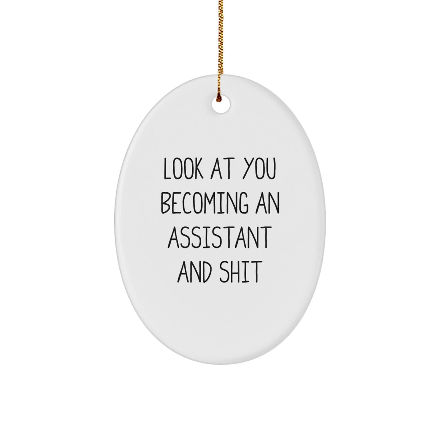 Funny Assistant Oval Ornament Gifts from Men to Men - Look At You Becoming An Assistant And Shit, Unique Christmas Unique Gifts for Assistant, Oval Decorative Ornament, Gifts for Men - Image 1