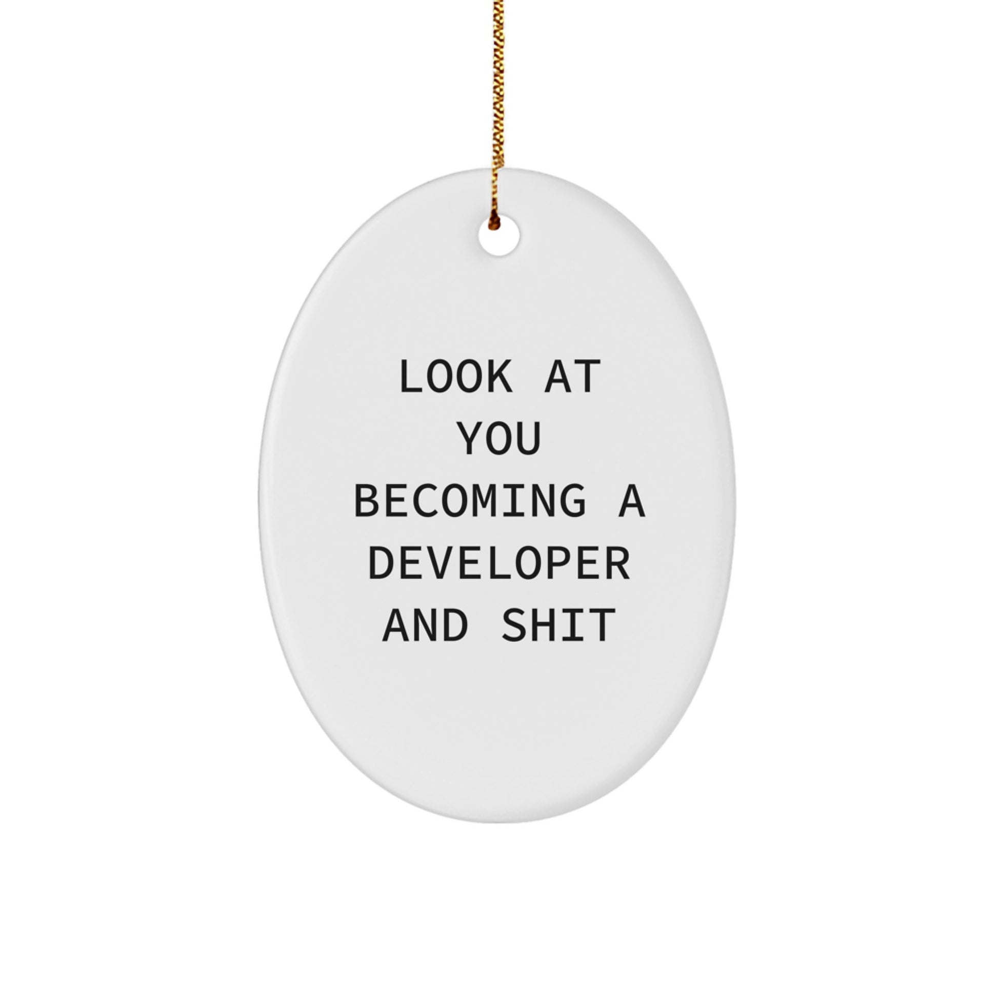 Funny Developer Oval Ornament for Christmas Unique Gifts from Friends and Family - Image 1