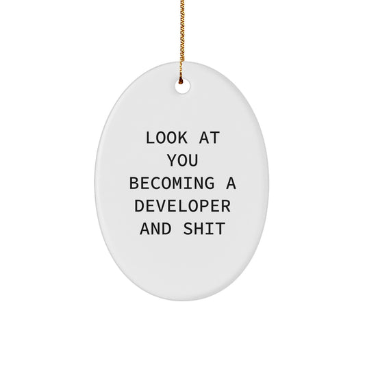 Funny Developer Oval Ornament for Christmas Unique Gifts from Friends and Family - Image 1