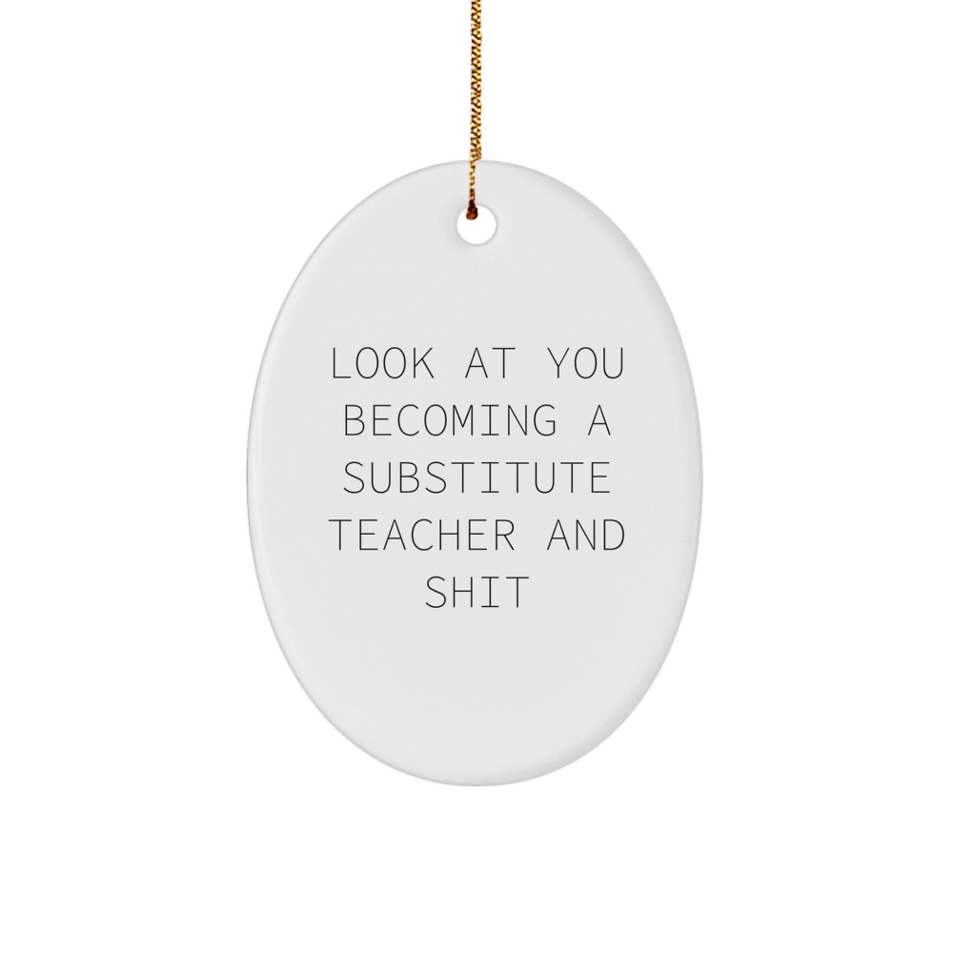 Funny Substitute Teacher Gifts from Friends - Oval Ornament for Substitute Teacher Men Women Coworkers Family at Christmas - Image 1