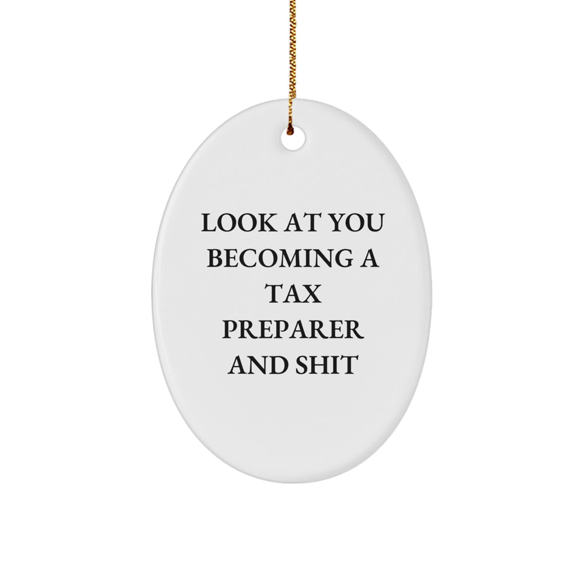 Christmas Gift for Her Tax Preparer Oval Ornament Present Surprise - Image 1